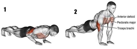 Not only do they train the above named muscles, but they also contribute to overall core strength. Do diamond push ups work your shoulders as well as your ...