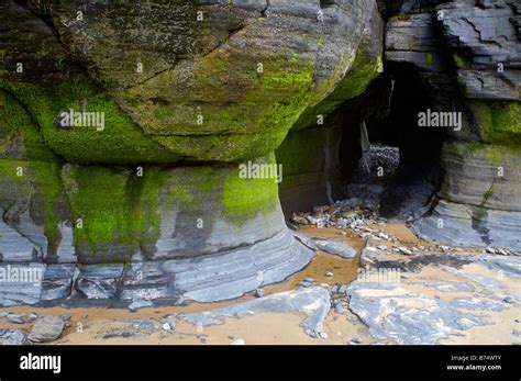 Rock Formations At Marros Beach Pembokeshire Stock Photo Alamy