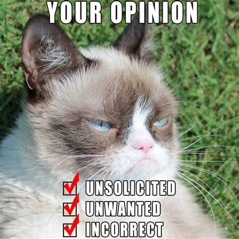 Grumpy Cat Your Opinion Tard The Grumpy Cat Faxo