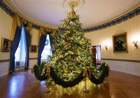 12 things you never knew about the white house christmas tree 2024
