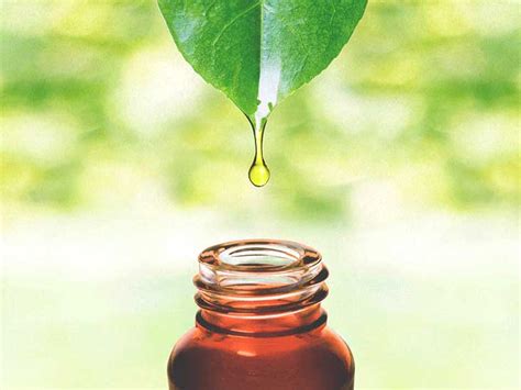Essential Oils For Shingles Medical Experts Weigh In