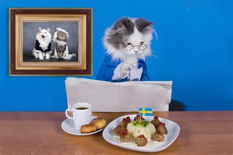 Cats are individuals like people. Can Cats Eat Potatoes? Are They Safe For Your Cats ...