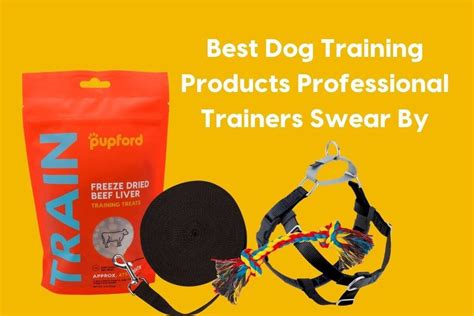 9 Best Dog Training Tools And Products Professional Trainers Swear By