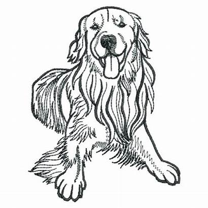 Dog Retriever Golden Embroidery Drawing Outline Coloring