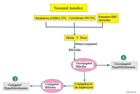 Neonatal Jaundice Zones