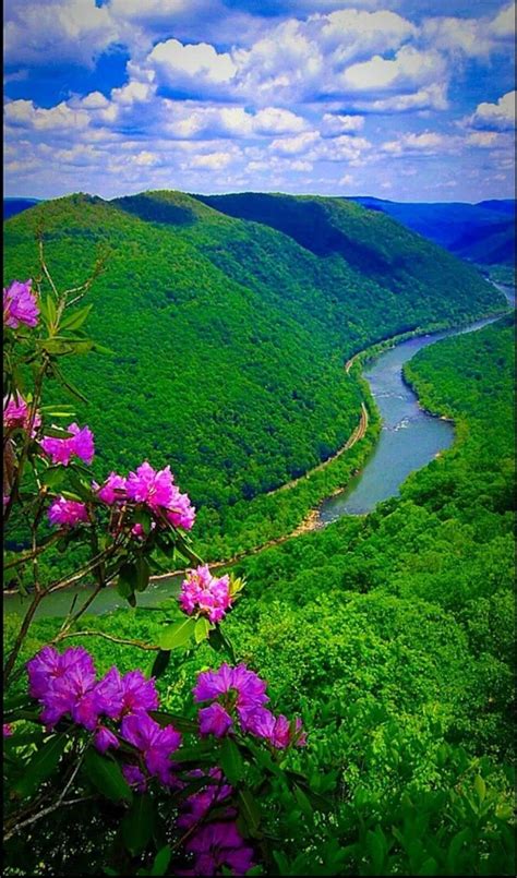 Beautiful Green Forest That Line The River Naturephotosnew Beautiful