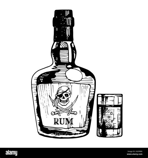 Rum Bottle With Pirate On The Label And Glass Vector Hand Drawn