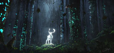 Download Night Forest Fantasy Deer Hd Wallpaper By Rocky Schouten
