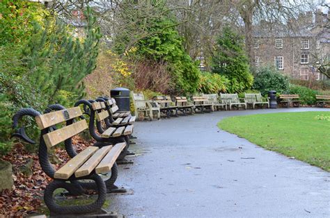 Benches In The Park Free Stock Photo Public Domain Pictures