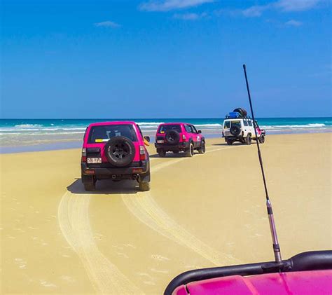 Fraser Island 4wd Hire And Tours Fraser Dingo 4wd Adventures