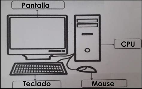 Mi Grado Primero Funciones De Las Partes Del Computador