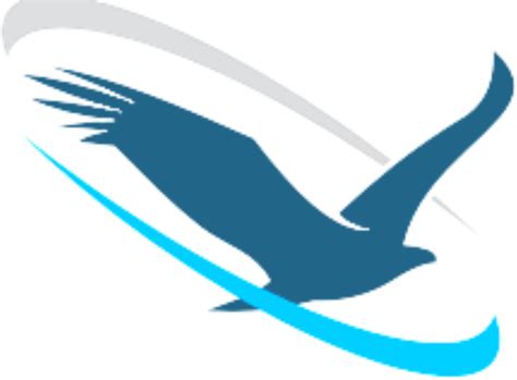 Soaring Eagle Network Soaring Eagle Logo Free Transparent Png