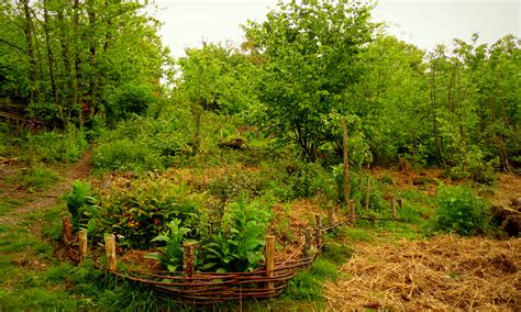 Active Remedy Permaculture