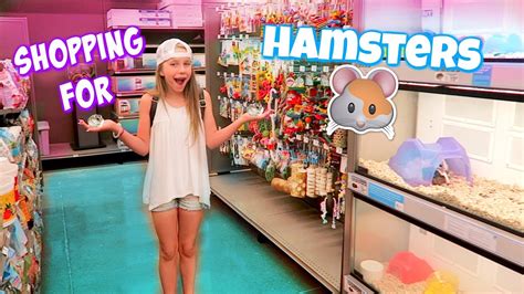Getting 3 Hamsters Shopping At Petco And Petsmart For Hamster Gear