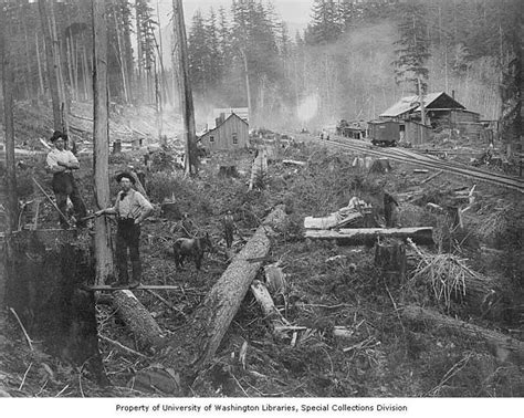 Photos A Tale Of The Northwest S Logging Past