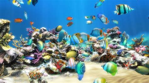 Perfect screen background display for desktop, iphone, pc. 50+ Live Aquarium Wallpaper with Sound on WallpaperSafari
