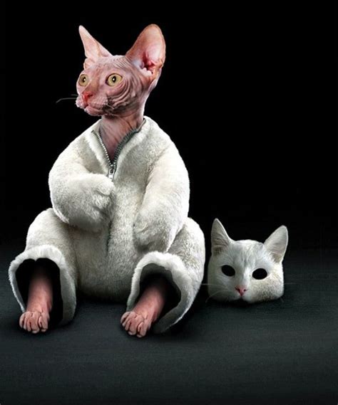 Hilarious Photoshopped Animals 30 Pics