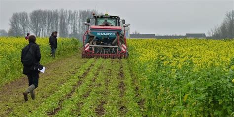 Couverts Végétaux Un Exemple Dans Le Nord De La France Wikiagri Actualité Agricole