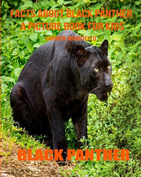 Facts About Black Panther A Picture Book For Kids By