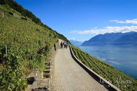 Lavaux Terraced Vineyards Overlooking Lake Geneva