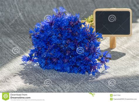 Bouquet Of Blue Cornflowers Stock Photo Image Of Wild Macro 55477764