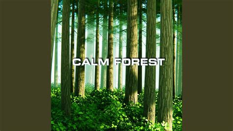 Calm Forest Sounds Soothing Sounds Remix Youtube