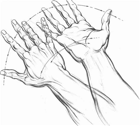 Hand Palm Drawing Drawing Hands Joshua Nava Arts