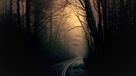 Download Night Road Dark Forest Hd Wallpaper