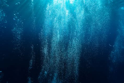 Underwater Bubbles Pictures Download Free Images On Unsplash