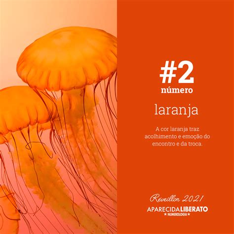 There are 9 professionals named aparecida liberato, who use linkedin to exchange information, ideas, and opportunities. aparecida-liberato-significado-cor-do-ano-novo-02-laranja ...
