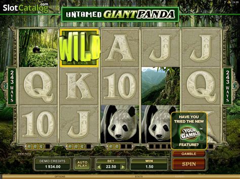 Untamed Giant Panda Slot Free Demo And Game Review Jan 2024