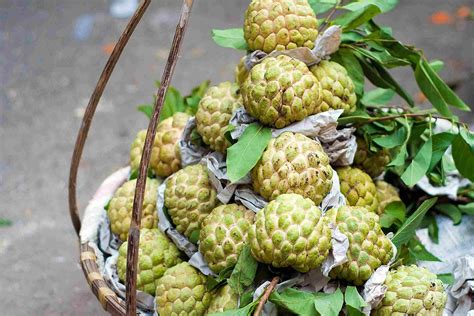 6 Southeast Asian Fruits To Love