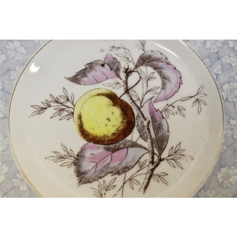 Antique Austrian Dessert Plates S11 Chairish