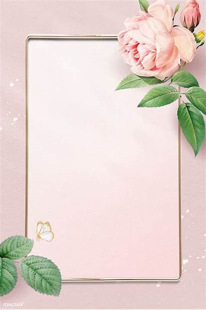 Frame Rectangle Floral Flower Write Background Backgrounds