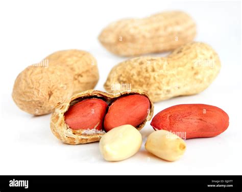 Isolated Fruit Peanuts Stock Photo Alamy