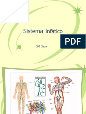 Vasos Linfaticos Pdf Sistema Linf Tico Linfocitos Map Lymphatic System Subcutaneous