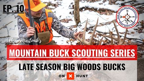 How To Hunt Late Season Big Woods Bucks Mountain Buck Scouting Series