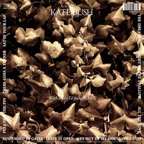 Kate Bush The Dreaming Lp Album Reissue Remastered 180g Europe
