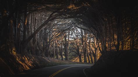 Download and use 90,000+ dark wallpaper stock photos for free. Download Road, highway, forest, tree, nature, dark ...