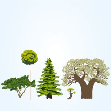 Vector Tree Collection FreeVectors