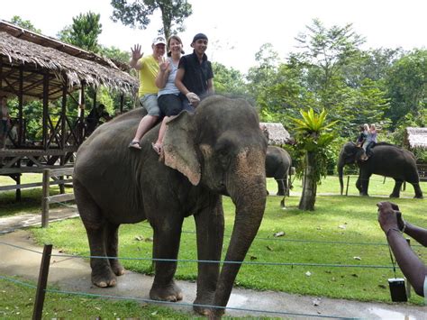 Before we talk about malaysia truly asia, but now visit truly asia malaysia. Choice Holidays India,Domestic Tour, International Tour ...