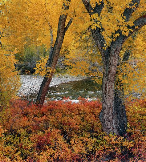 Big Lost Autumn Photograph By Leland D Howard Fine Art America