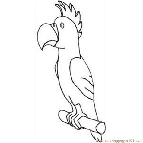 Parrot With Big Beak Coloring Page For Kids Free Parrots Printable