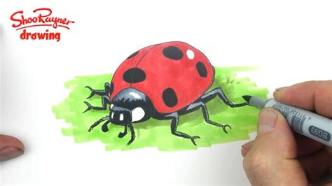 Simple And Fun Way To Draw Ladybug Cute Drawings Easy Tutorial