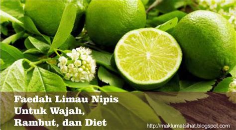 Unlike key lime with light green flesh, calamansi lime's malay name: Faedah Limau Nipis Untuk Wajah, Rambut, dan Diet ...