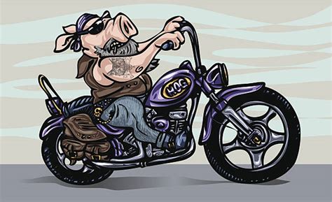 Motorcycle Cruiser Clipart Black And White Pig