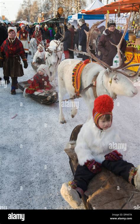 Traditional Reindeer Caravan With Same Laplander In Folk Costume