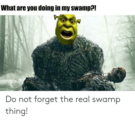 What Are You Doing In My Swamp Do Not Forget The Real Swamp Thing