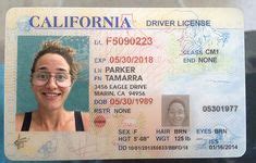 California Drivers License Dd Number Chainclever