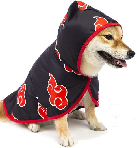 Aggregate More Than 82 Anime Dog Costume Latest Induhocakina